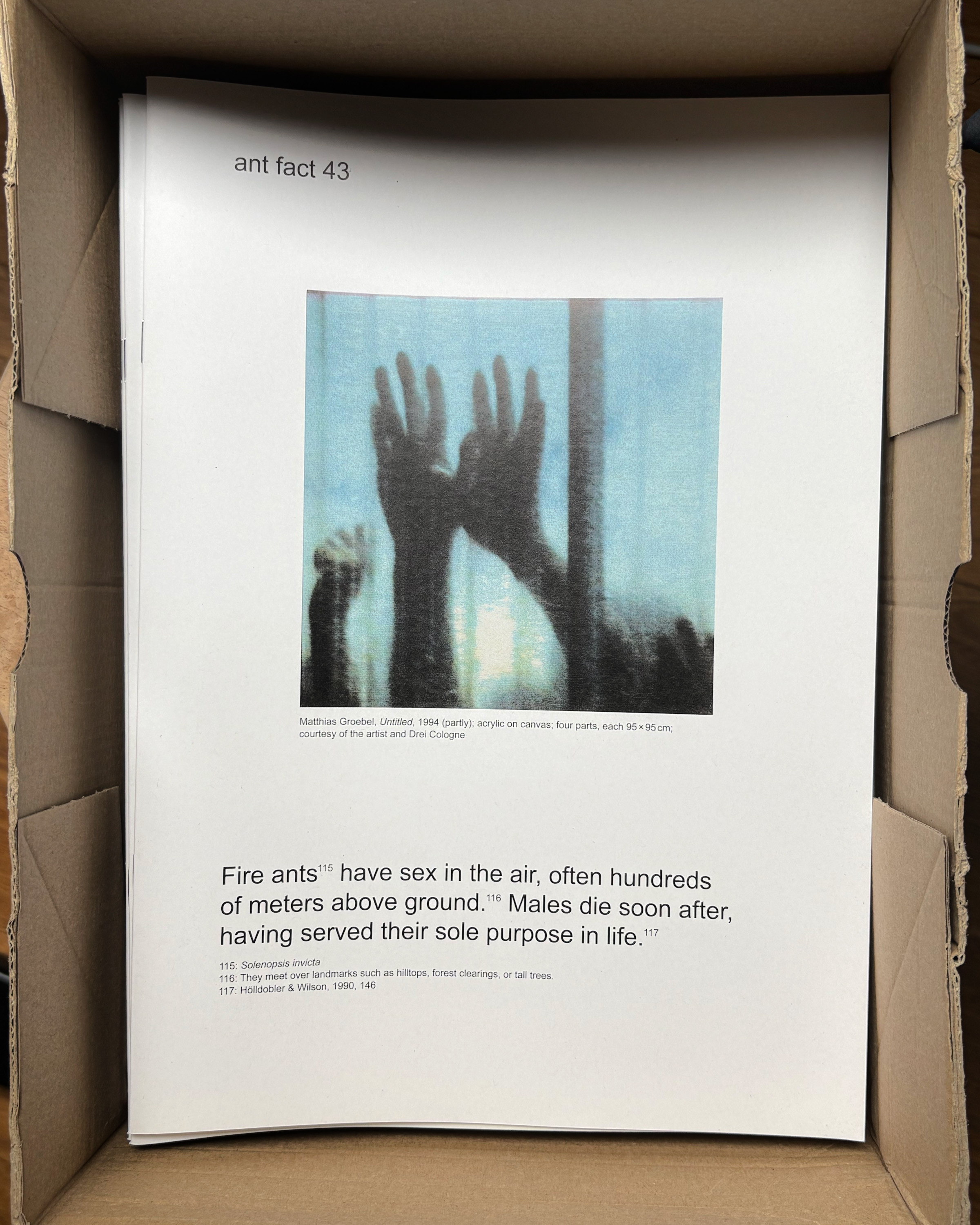 ant fact archive issue 2